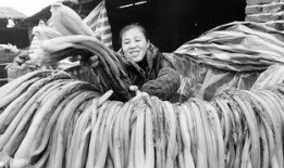 杀漠电影在线完整观看,在线观影，揭秘暗黑世界