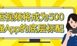 卖菜短视频爆料文案,卖菜背后的真实故事